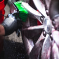 Keep Your Imported Car in Top Condition with Wheel and Tire Cleaners